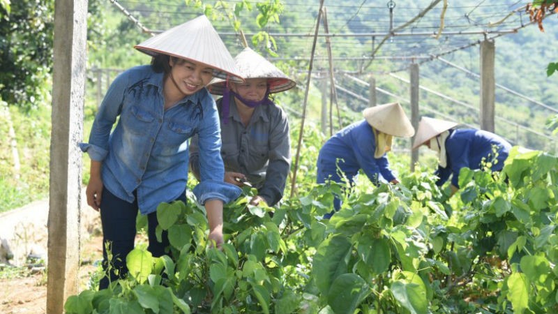 Bà Trương Kim Hoa (ngoài cùng bên trái) đã xây dựng thành công trang trại hữu cơ, khép kín, cung ứng cho thị trường nhiều loại thực phẩm sạch, an toàn với người tiêu dùng.