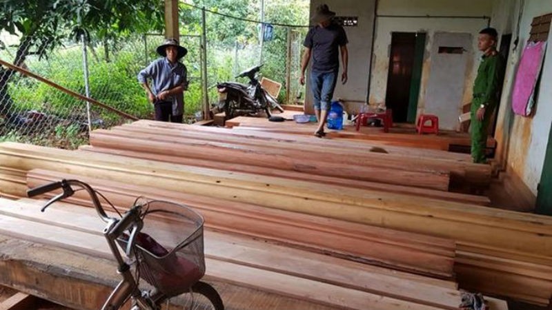 Phát hiện nhiều điểm tập kết hàng trăm m3 gỗ lậu