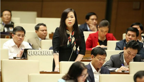 Đại biểu Vũ Thị Lưu Mai