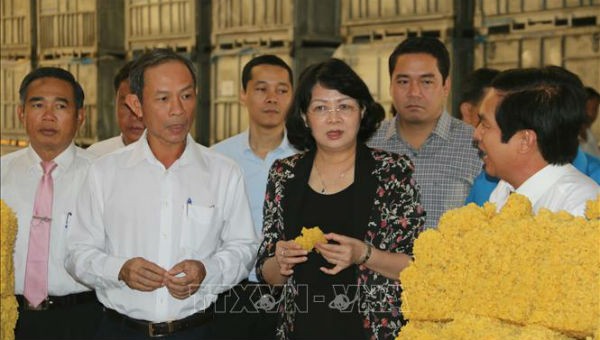 Phó Chủ tịch nước Đặng Thị Ngọc Thịnh và đoàn công tác thăm nhà máy chế biến mủ cao su của Tổng Công ty Cao su Đồng Nai. 