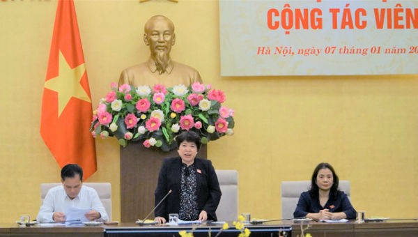 Chủ nhiệm Ủy ban Về các vấn đề xã hội Nguyễn Thúy Anh phát biểu tại cuộc gặp mặt.