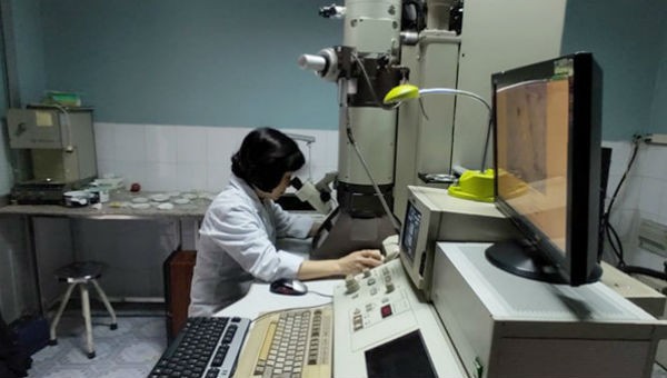 Việt Nam nuôi cấy và phân lập thành công chủng virus Corona mới trong phòng thí nghiệm. 