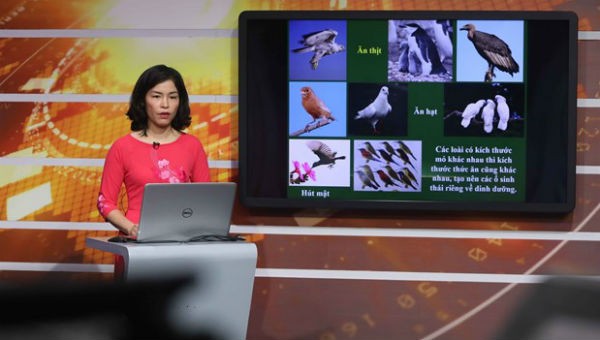 Hà Nội phát sóng các bài giảng trên truyền hình.