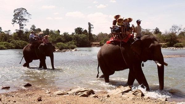 Hoạt động cưỡi voi khá thu hút du khách khi đến với Tây Nguyên. Ảnh minh họa.
