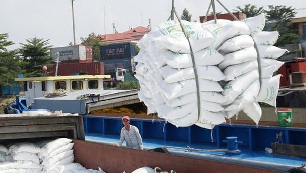 Doanh nghiệp xuất khẩu gạo từng gửi đơn kêu cứu lên Chính phủ. Ảnh minh họa.