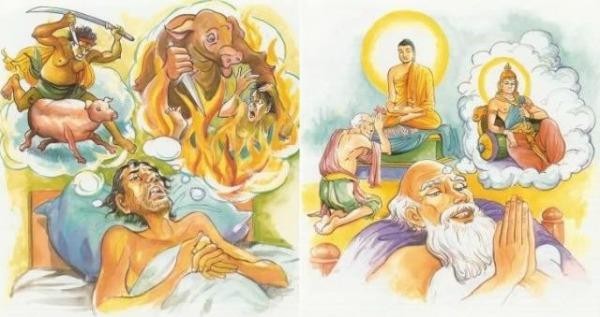Sinh, lão, bệnh, tử và luân hồi trong giáo lý nhà Phật