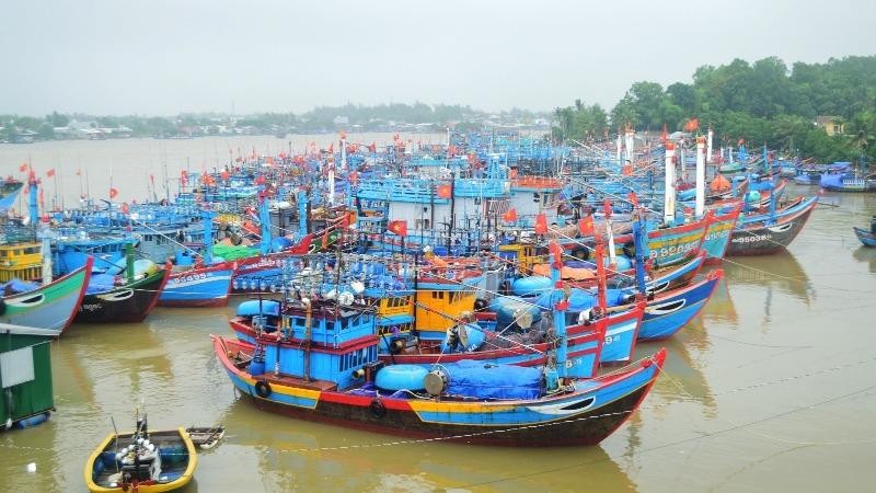 Tàu cá của ngư dân Quảng Ngãi vào bờ tránh trú bão số 9.