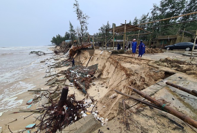 Bão số 13 khiến bãi biển Gio Hải (huyện Gio Linh, Quảng Trị) tiếp tục ăn sâu vào đất liền 5-10 mét.