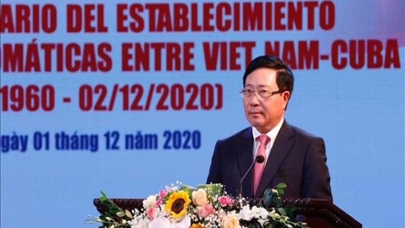 Phó Thủ tướng, Bộ trưởng Ngoại giao Phạm Bình Minh phát biểu tại buổi lễ. Ảnh: TTXVN.