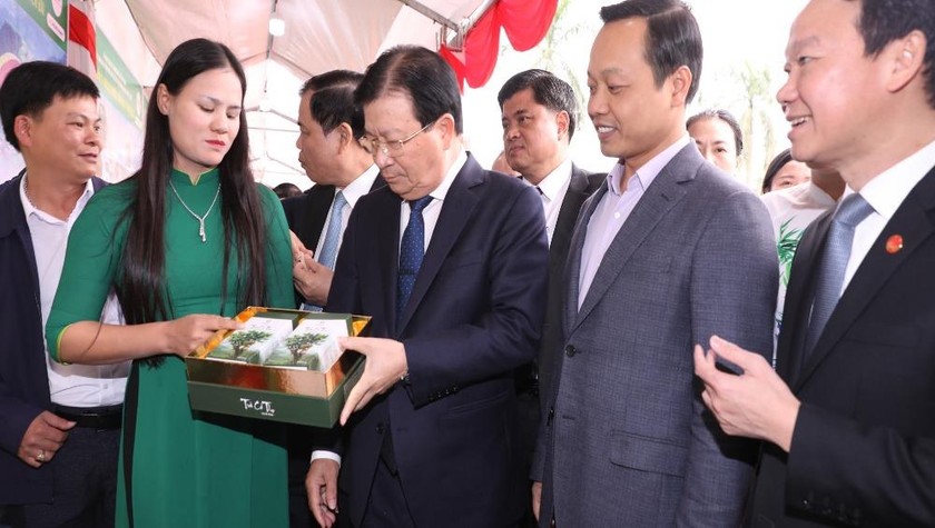 Phó Thủ tướng Trịnh Đình Dũng và các đại biểu tham quan gian hàng trưng bày tại Hội nghị.