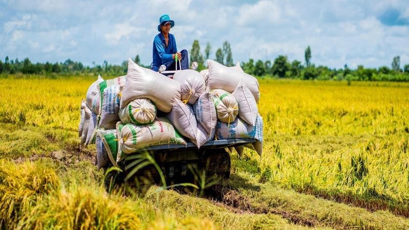 Nông nghiệp tiếp tục khẳng định là “bệ đỡ” của nền kinh tế Việt Nam.