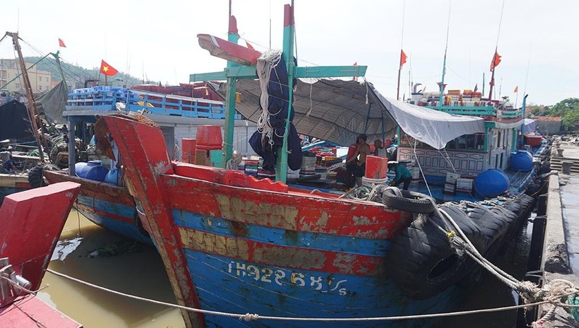 Các tàu thuyền ở Thanh Hoá đã vào nơi trú bão an toàn.