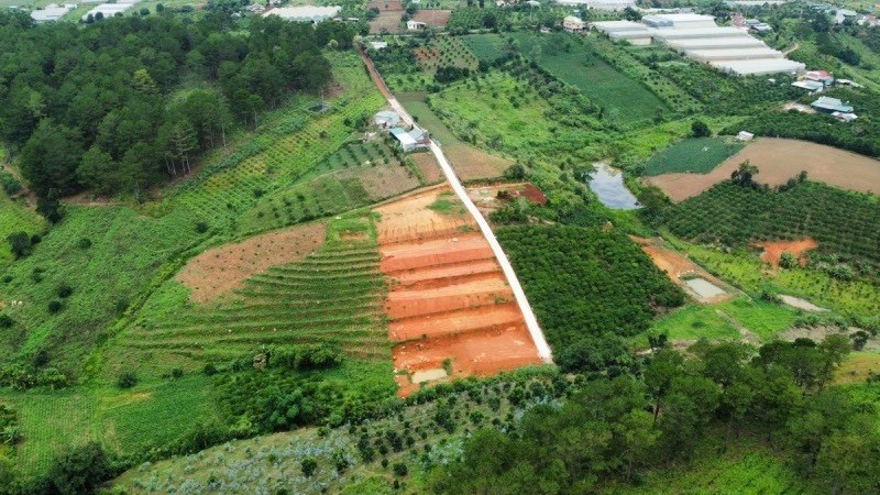 Lâm Đồng đôn đốc rà soát phân loại rừng