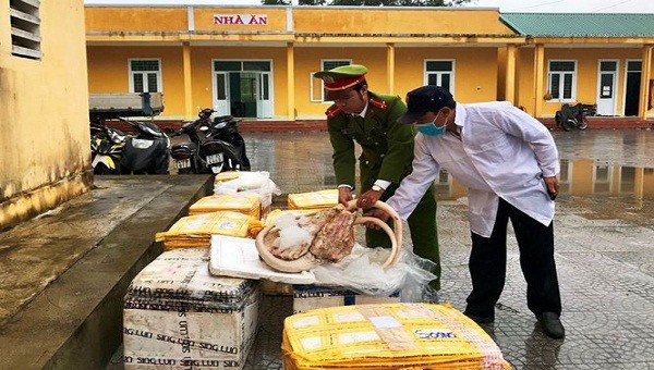Hơn 7 tạ thịt, nội tạng động vật chưa qua kiểm dịch bị cơ Công an thị xã Hương Thủy (TT- Huế) bắt giữ 