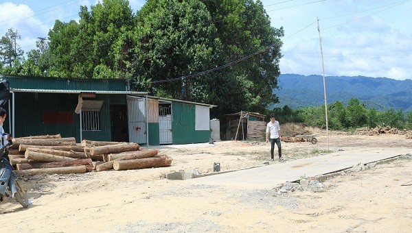 Dù chưa có giấy phép xây dựng nhưng trạm cân, xưởng cưa Nguyễn Lương Ba vẫn hoạt động