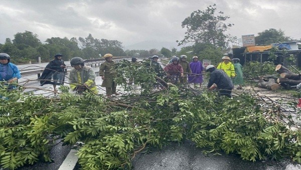 Bão số 9 khiến nhiều cây xanh ở địa bàn tỉnh Thừa Thiên Huế gãy đổ và nhiều ngôi nhà bị tốc mái.