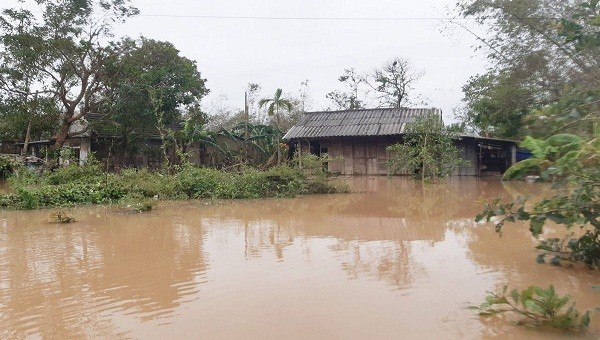 Mưa lớn kéo dài khiến nhiều nơi ở TT- Huế, đặc biệt là các vùng thấp trũng chìm trong biển nước.