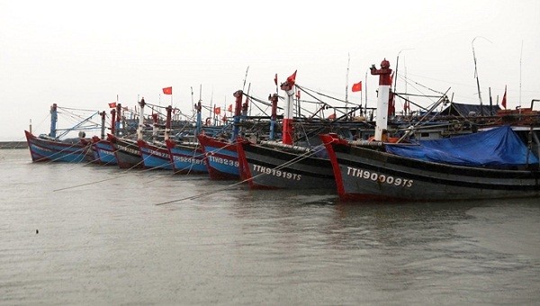 Hiện toàn bộ tàu thuyền trên địa bàn tỉnh TT- Huế đã vào neo đậu an toàn 