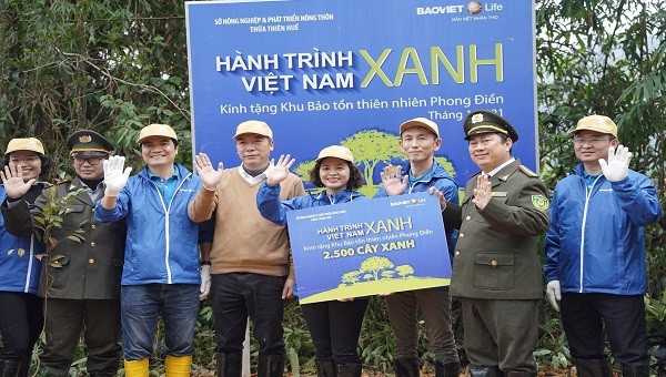 Chiến dịch “Hành trình Việt Nam Xanh”  tại TT-  Huế đã trồng 25.000 cây tự nhiên.