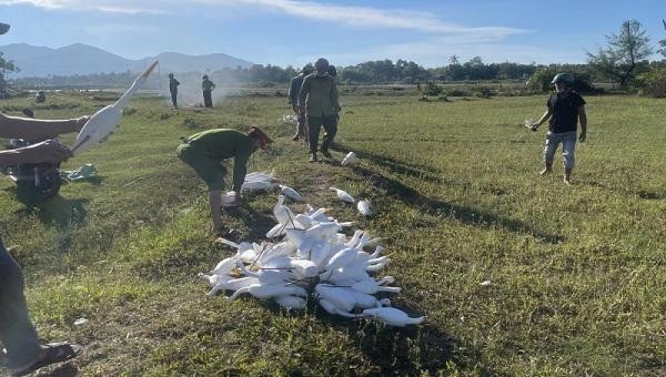Công an xã Lộc Trì, huyện Phú Lộc (tỉnh Thừa Thiên Huế) thu gom các phương tiện săn bắt chim trời và thả các cá thể cò, vạc về với môi trường tự nhiên.
