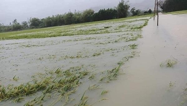 Mưa lũ trái mùa xảy ra tại tỉnh Thừa Thiên Huế đã gây thiệt hại gần 1.000 tỷ đồng, trong đó ngành nông nghiệp bị nặng nhất.