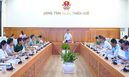 Ông Nguyễn Thanh Bình, Phó Chủ tịch Thường trực UBND tỉnh, Trưởng Ban chỉ đạo THADS tỉnh Thừa Thiên Huế phát biểu tại hội nghị.