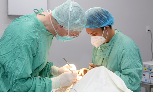 Các y bác sĩ của bệnh viện Trung ương Huế và đoàn phẫu thuật thiện nguyện Interplast phẫu thuật cho trẻ em mắc dị tật khe hở môi
