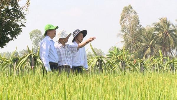 Tiền Giang: Tính toán nâng cao năng lực cạnh tranh của ngành nông nghiệp trong điều kiện biến đổi khí hậu 