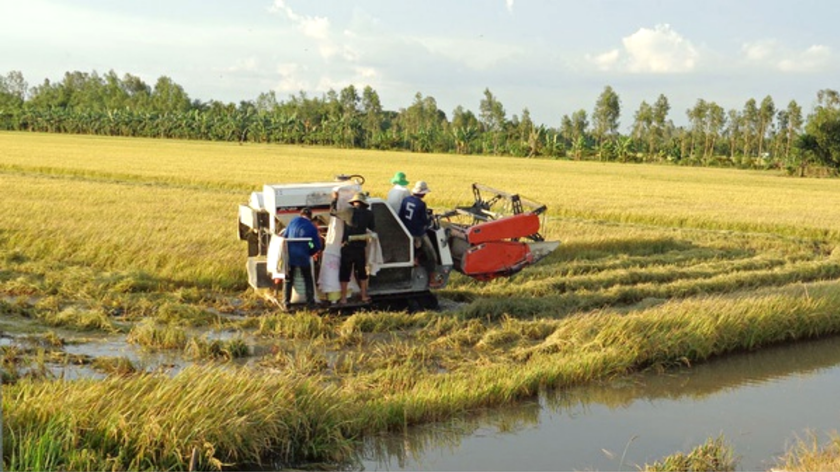 Bắt nhóm đối tượng đòi tiền bảo kê thu hoạch lúa của người dân