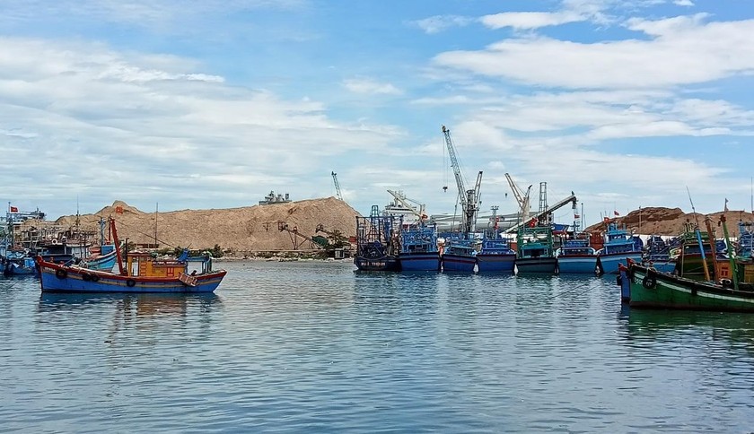 Tàu cá cập cảng Quy Nhơn (tỉnh Bình Định).