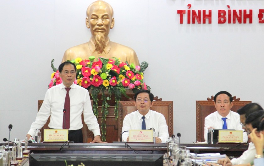 Bộ trưởng Bùi Thanh Sơn (đứng) phát biểu tại buổi làm việc.