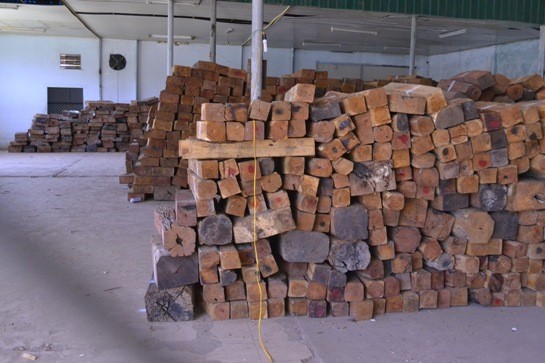 Phát hiện hàng trăm phách gỗ hương quý hiếm trên tàu T1