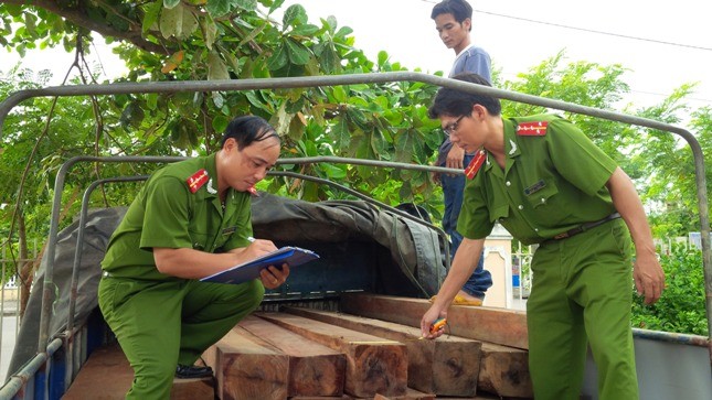 Quảng Nam: Ngụy trang gỗ lậu dưới các bao trấu