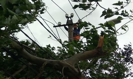 Tình hình khác phục lưới điện tại Quảng Bình
