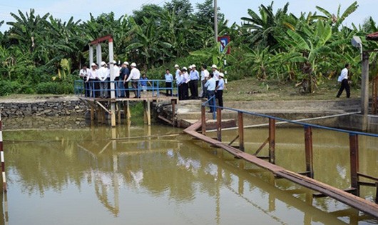 Nhà máy nước Cầu Đỏ nhiễm mặn