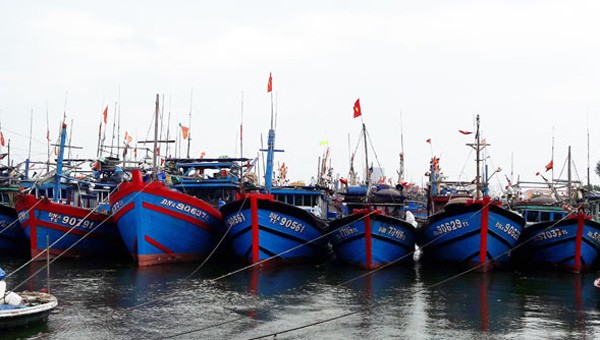 Tàu thuyền tránh tru bão tại Đà Nẵng