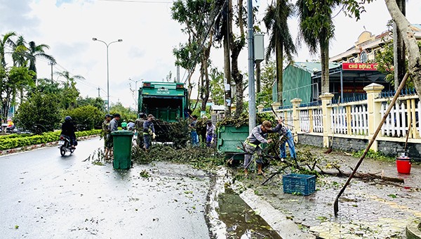Công nhân môi trường dọn rác hữu cơ cây xanh bị ngã đổ sau bão số 9 đổ bộ vào Quảng Ngãi