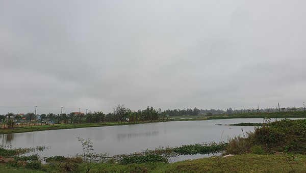 Sông Cổ Cò chảy qua TP. Đà Nẵng và tỉnh Quảng Nam