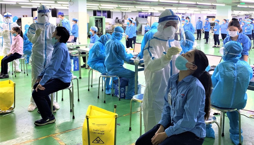 Nhân viên y tế đang lấy mẫu xét nghiệm cho các công nhân tại công ty Việt Hoa.