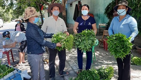 Người dân Đà Nẵng hỗ trợ đưa rau vào giúp bà con vùng cách ly y tế