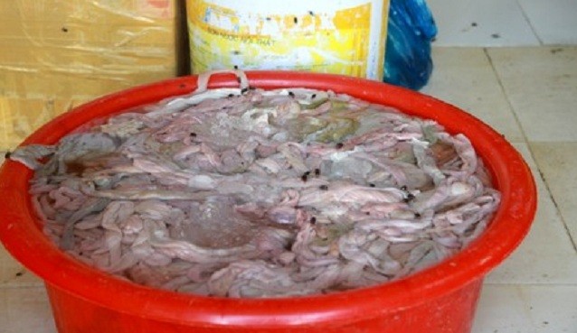 Bắt giữ 250 kg lòng lợn thối trên đường về Hà Nội tiêu thụ