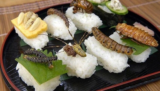 Ăn côn trùng không đúng cách dễ ngộ độc
