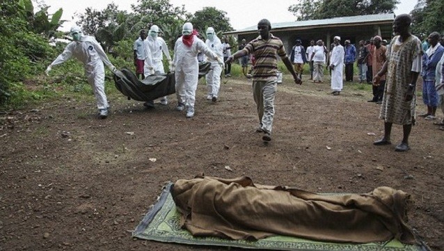 WHO: Vắc xin ngừa Ebola sẽ “xuất xưởng” vào năm 2015?