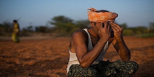 Một nông dân Ấn Độ tuyệt vọng vì mất mùa.