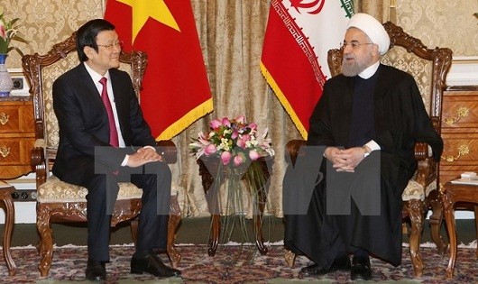 Chủ tịch nước Trương Tấn Sang hội đàm với Tổng thống Iran Hassan Rouhani. (Ảnh: Nguyễn Khang/TTXVN)