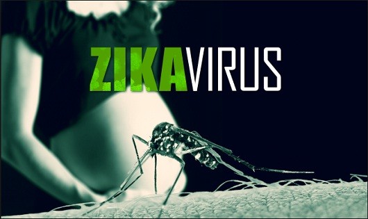 Bộ Y tế phủ nhận 4 ca nhiễm virus Zika