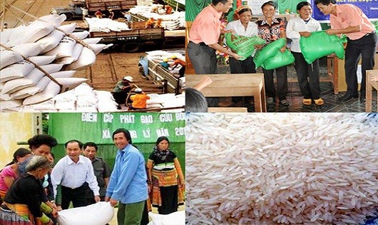 Hỗ trợ hơn 5.000 tấn gạo cho 5 tỉnh