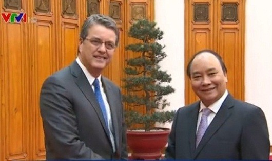 Thủ tướng Nguyễn Xuân Phúc tiếp Tổng Giám đốc WTO Roberto Azevedo.(Ảnh VTV)