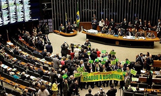 Có 367 trong 513 đại biểu Hạ viện ủng hộ việc luận tội bà Rousseff.