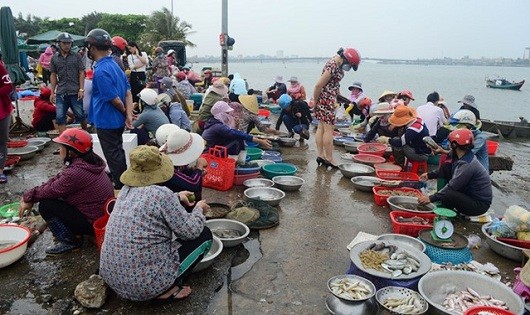 Từ chợ ven biển cho tới chợ trong phố đều… vắng khách mua hải sản.